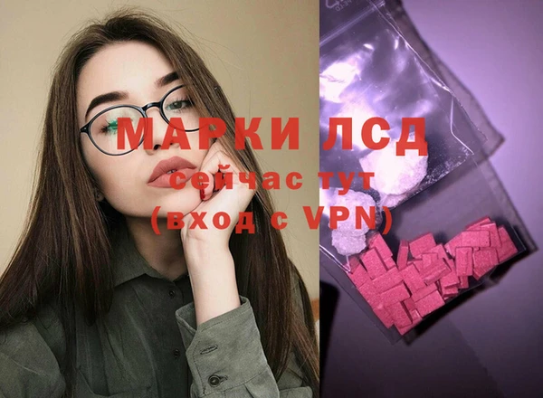 PSILOCYBIN Осташков