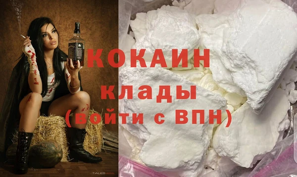 PSILOCYBIN Осташков