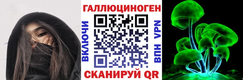 где можно купить   Талдом  Псилоцибиновые грибы Psilocybe 